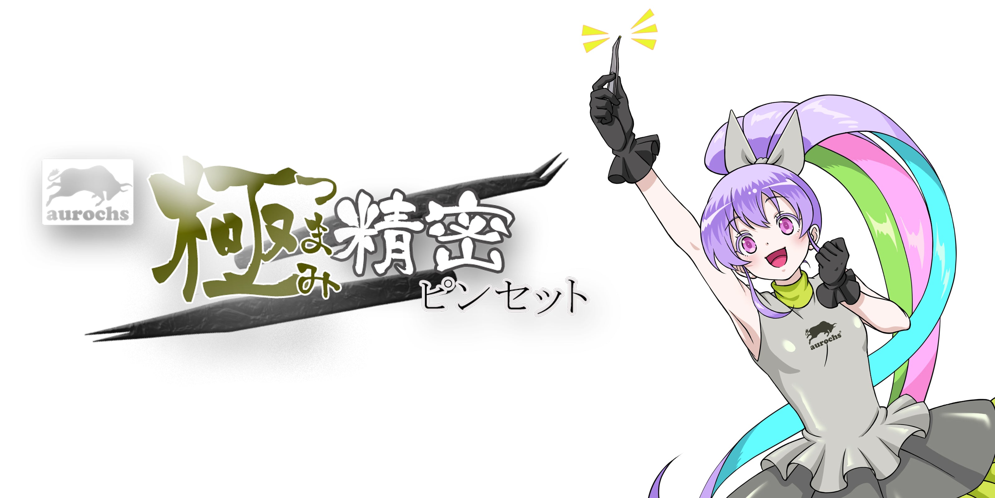 極つまみ精密ピンセット – aurochs ONLINE STORE
